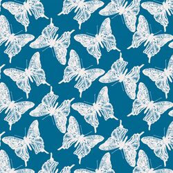 Butterflies in Jay Blue
