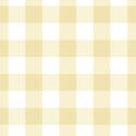 Large Gingham in Sunlight