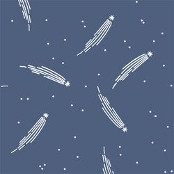 Meteor Shower in Midnight