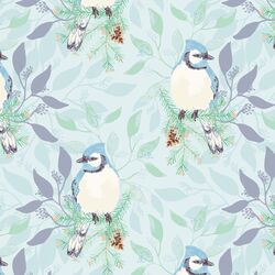 Blue Jay in Winter Blue