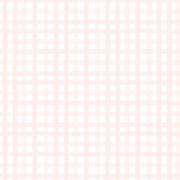 Sweet Gingham in Blush Pink