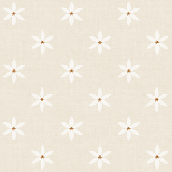 Star Flowers in Cream