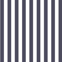 Candy Stripe in Ink