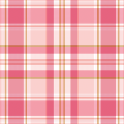 Lovely Plaid in Rosy