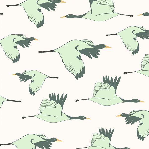 Flying Cranes in Cloud