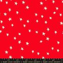 Starry in Ladybug