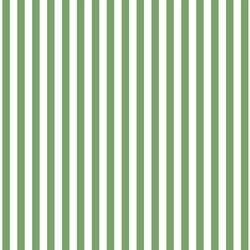 Dress Stripe in Pistachio