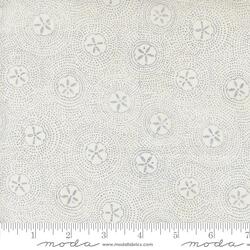 Sand Dollar Ripples in White