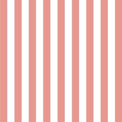 Candy Stripe in Tulip