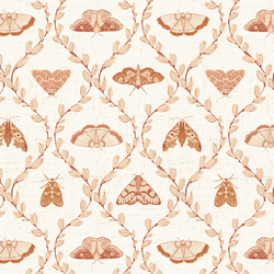 Divine Moths in Glow