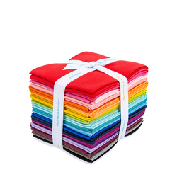 Confetti Cotton Fat Quarter Bundle in RIley Rainbow