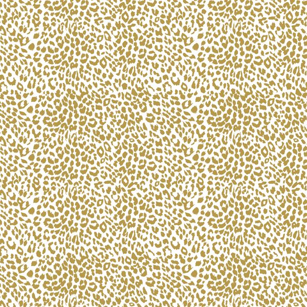 Small Leopard in Gold Glow on White