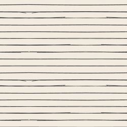 Lines in Graphite on Egret