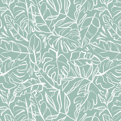 Palm Leaf in Isle