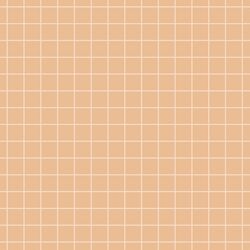 Grid in Pink on Dusty Peach