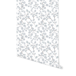 Silver Dollar in White