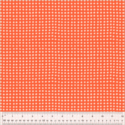 Dots in Delphinium