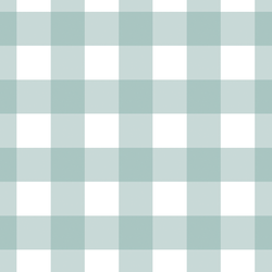 Large Gingham in North Shore