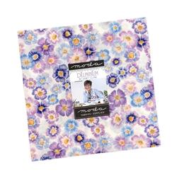 Delphinium 10" Square Pack