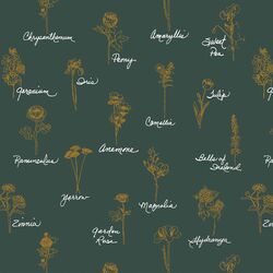 Seasons in Emerald