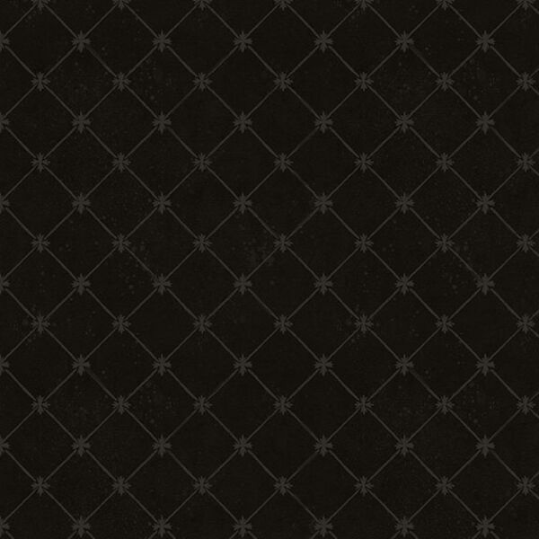 Lattice in Black