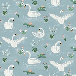 A Swan