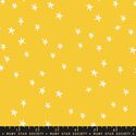 Starry in Sunshine