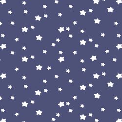 Star Light in Indigo