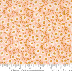 Blossoms in Blush