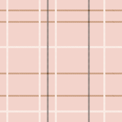 Tartan in Blush