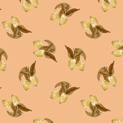 Vintage Lemons in Apricot