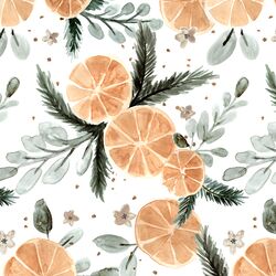 Large Citrus Slices in Winter