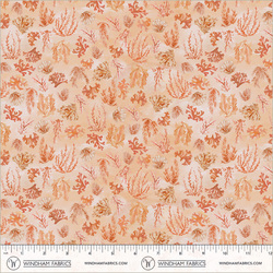 Reef in Coral