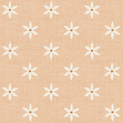 Star Flowers in Coral