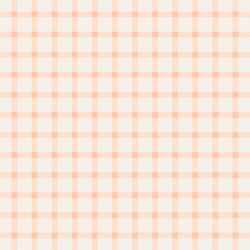 Skinny Gingham in Light Pink