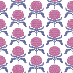 Roses in Garden