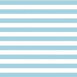 Horizontal Candy Stripe in Robins Egg