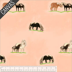 Ponies Canvas in Peach