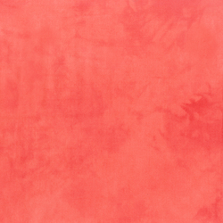 Palette in Salmon