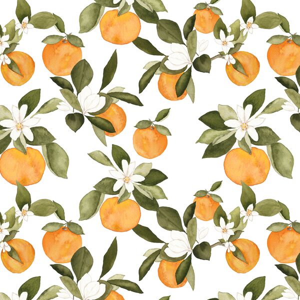 Orange Blossom in Grove