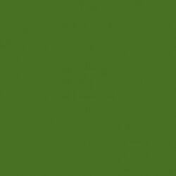 Solid in Olive