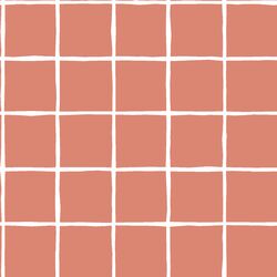 Windowpane in Desert Rose