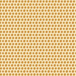 Wild Dot in Golden Summer