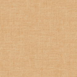 Textured Solid in Tawny