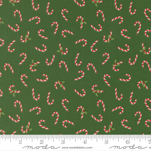 Candy Cane in Evergreen