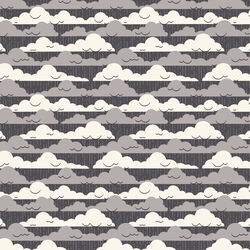 Cloudy Skies in Gray