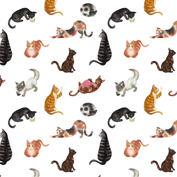 Cats in White