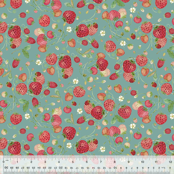 Strawberries in Teal