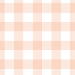 Large Gingham in Peaches