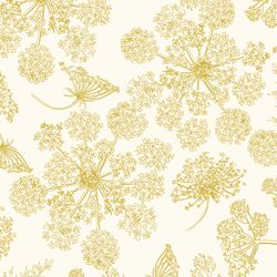Queen Annes Lace in Citron